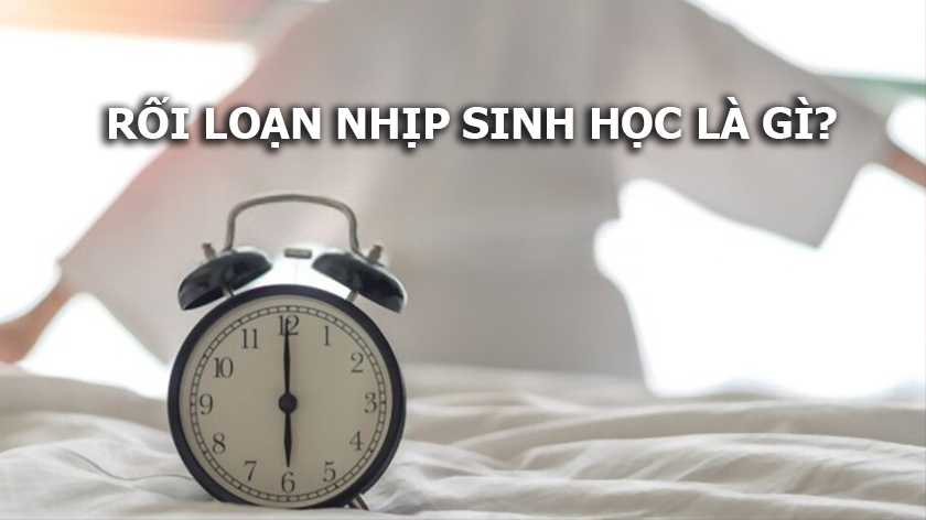 Bệnh lý rối loạn nhịp điệu sinh học ảnh hưởng đến chất lượng giấc ngủ như thế nào?