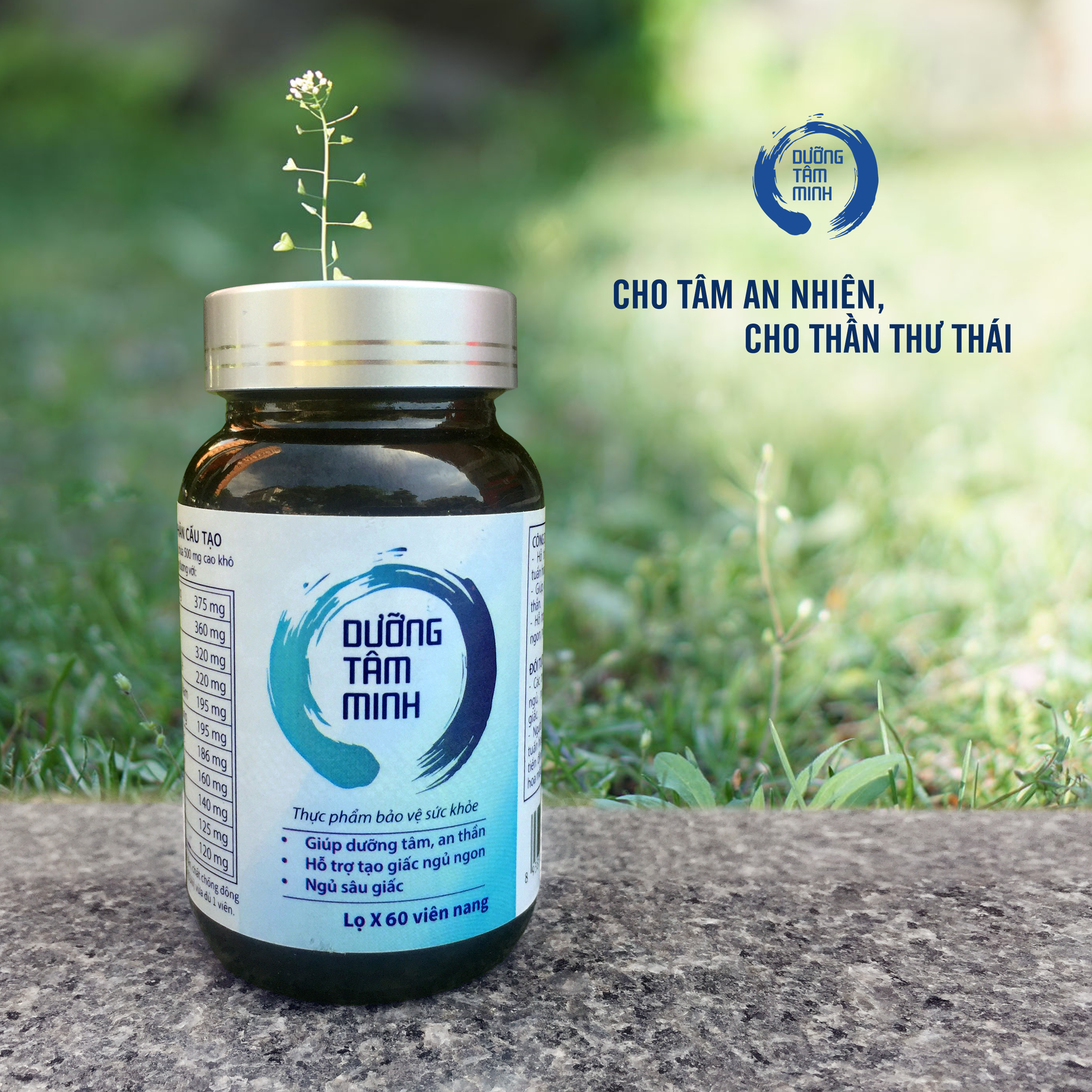 Tin vui cho người mất ngủ đau đầu – Giải pháp đến từ Dưỡng tâm minh