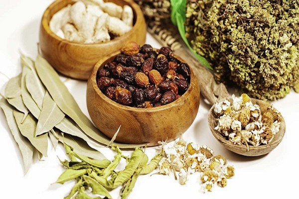 5 bài thuốc “vàng” trong điều trị mất ngủ theo quan điểm Y học cổ truyền